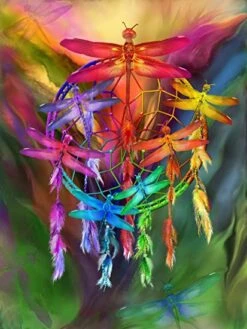 Broderie Diamant <br> Attrape Rêve Et Libellules