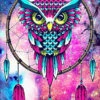 Broderie Diamant <br> Attrape Rêve Hibou