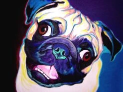 Broderie Diamant <br> Carlin Rigolo