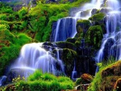 Broderie Diamant <br> Cascade Exotique