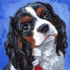 Broderie Diamant <br> Cavalier King Charles