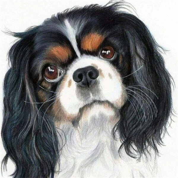 Broderie Diamant <br> Cavalier King Charles Peinture 3 Broderie Diamant <br> Cavalier King Charles Peinture