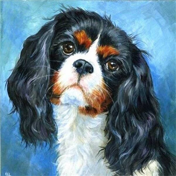 Broderie Diamant <br> Cavalier King Charles Portrait 3 Broderie Diamant <br> Cavalier King Charles Portrait