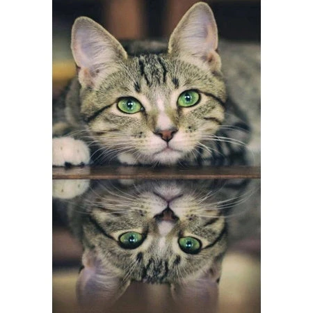 Broderie Diamant <br> Chat Aux Yeux Verts 3 Broderie Diamant <br> Chat Aux Yeux Verts