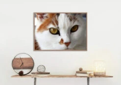 Broderie Diamant <br> Chat Chasseur -Atelier Broderie Diamant broderie diamant chat chasseur decor atelier broderie diamant