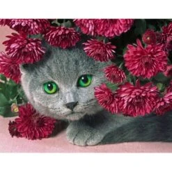 Broderie Diamant <br> Chat Et Fleurs Rouges