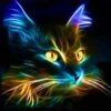 Broderie Diamant <br> Chat Fluorescent -Atelier Broderie Diamant broderie diamant chat fluorescent atelier broderie diamant