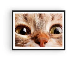 Broderie Diamant <br> Chat HD -Atelier Broderie Diamant broderie diamant chat hd cadre atelier broderie diamant