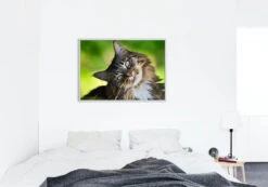 Broderie Diamant <br> Chat Maine Coon -Atelier Broderie Diamant broderie diamant chat maine coon decor atelier broderie diamant 7121f192 cbb7 4d27 9730 abb854a6b220