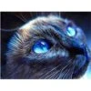 Broderie Diamant <br> Chat Regard Profond