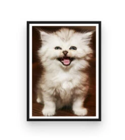 Broderie Diamant <br> Chat Rigolo -Atelier Broderie Diamant broderie diamant chat rigolo cadre atelier broderie diamant