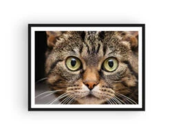 Broderie Diamant <br> Chat Sauvage -Atelier Broderie Diamant broderie diamant chat sauvage cadre atelier broderie diamant