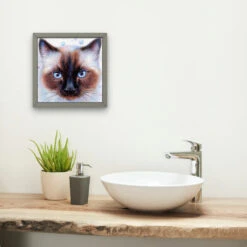 Broderie Diamant <br> Chat Siamois -Atelier Broderie Diamant broderie diamant chat siamois decor atelier broderie diamant