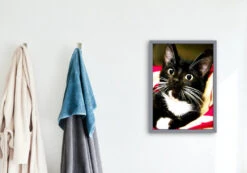 Broderie Diamant <br> Chat Surpris -Atelier Broderie Diamant broderie diamant chat surpris decor atelier broderie diamant