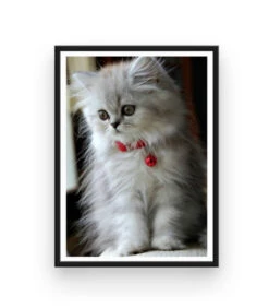 Broderie Diamant <br> Chat Triste -Atelier Broderie Diamant broderie diamant chat triste cadre atelier broderie diamant