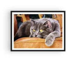 Broderie Diamant <br> Chat Velour 6 Broderie Diamant <br> Chat Velour -Atelier Broderie Diamant broderie diamant chat velour cadre atelier broderie diamant