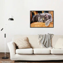 Broderie Diamant <br> Chat Velour 7 Broderie Diamant <br> Chat Velour -Atelier Broderie Diamant broderie diamant chat velour decor atelier broderie diamant