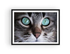 Broderie Diamant <br> Chat Yeux Bleu Azur 6 Broderie Diamant <br> Chat Yeux Bleu Azur -Atelier Broderie Diamant broderie diamant chat yeux bleu azur cadre atelier broderie diamant