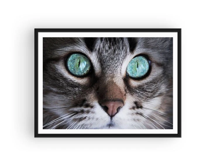 Broderie Diamant <br> Chat Yeux Bleu Azur 4 Broderie Diamant <br> Chat Yeux Bleu Azur – Image 2