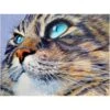 Broderie Diamant <br> Chat Yeux Bleus Perçants