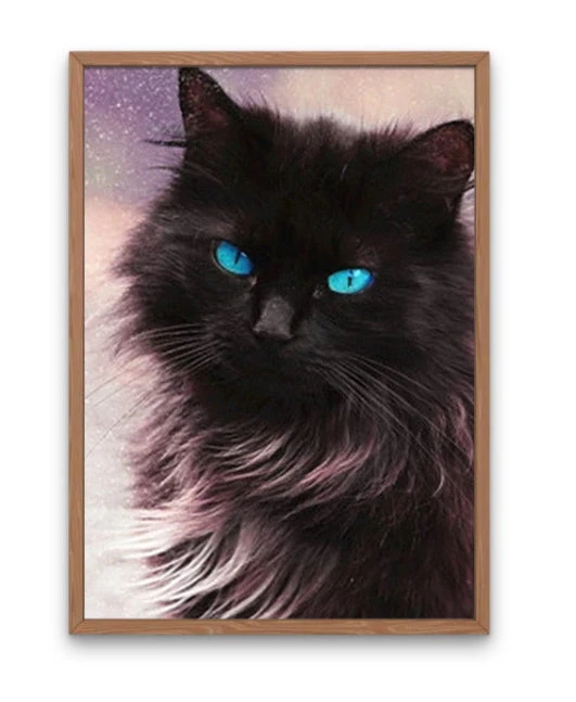 Broderie Diamant <br> Chat Yeux Océaniques 4 Broderie Diamant <br> Chat Yeux Océaniques – Image 2