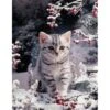 Broderie Diamant <br> Chaton Dans La Neige