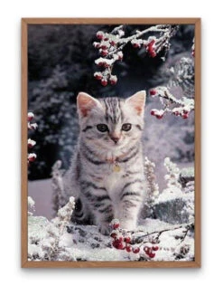 Broderie Diamant <br> Chaton Dans La Neige 6 Broderie Diamant <br> Chaton Dans La Neige -Atelier Broderie Diamant broderie diamant chaton dans la neige cadre atelier broderie diamant