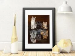 Broderie Diamant Chatons Reflets Félins -Atelier Broderie Diamant broderie diamant chaton deviendra grand decor atelier broderie diamant