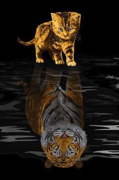 Broderie Diamant <br> Chaton Futur Tigre Du Bengale