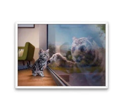 Broderie Diamant <br> Chaton Mignon Et Son Reflet -Atelier Broderie Diamant broderie diamant chaton mignon et son reflet cadre atelier broderie diamant