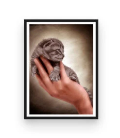 Broderie Diamant <br> Chaton Naissant -Atelier Broderie Diamant broderie diamant chaton naissant cadre atelier broderie diamant