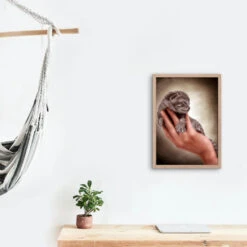 Broderie Diamant <br> Chaton Naissant -Atelier Broderie Diamant broderie diamant chaton naissant decor atelier broderie diamant