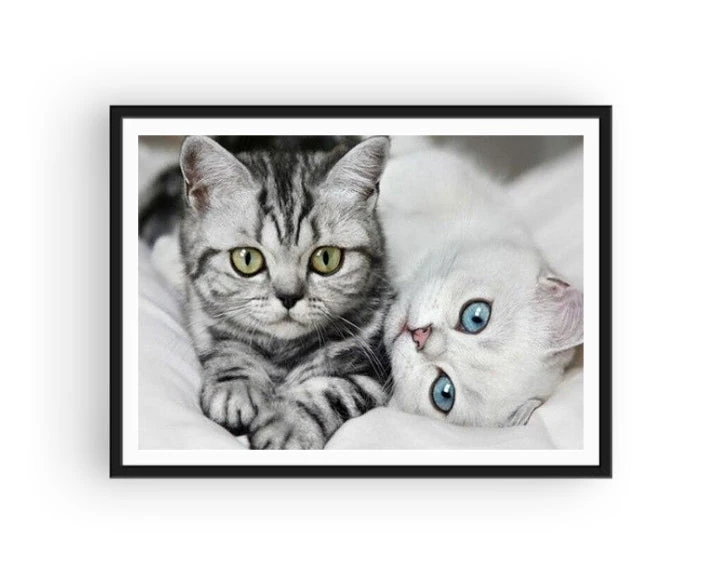 Broderie Diamant <br> Chats Aux Jolis Yeux 4 Broderie Diamant <br> Chats Aux Jolis Yeux – Image 2