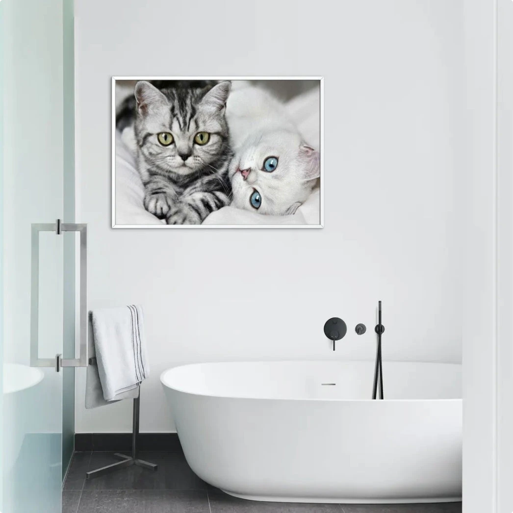 Broderie Diamant <br> Chats Aux Jolis Yeux 5 Broderie Diamant <br> Chats Aux Jolis Yeux – Image 3