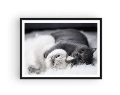 Broderie Diamant <br> Chats Noirs Et Blancs -Atelier Broderie Diamant broderie diamant chats noirs et blancs cadre atelier broderie diamant