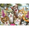 Broderie Diamant <br> Groupe De Chats Rigolos