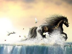 Broderie Diamant <br> Cheval Et Nature