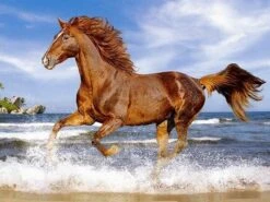 Broderie Diamant <br> Cheval Marron Sauvage