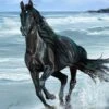 Broderie Diamant <br> Cheval Noir Et Mer