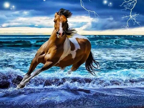 Broderie Diamant <br> Cheval Puissant 3 Broderie Diamant <br> Cheval Puissant