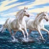 Broderie Diamant <br> Chevaux Blancs Sur L'Eau -Atelier Broderie Diamant broderie diamant chevaux blancs sur leau atelier broderie diamant