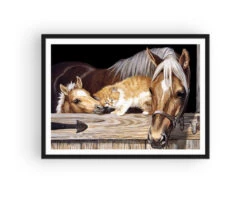 Broderie Diamant <br> Chevaux Et Chaton -Atelier Broderie Diamant broderie diamant chevaux et chaton cadre atelier broderie diamant