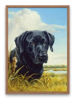 Broderie Diamant <br> Chien à La Campagne 6 Broderie Diamant <br> Chien à La Campagne -Atelier Broderie Diamant broderie diamant chien a la campagne cadre atelier broderie diamant