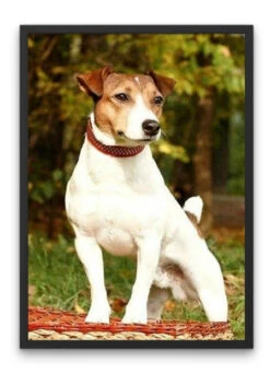 Broderie Diamant <br> Chien Jack Russel -Atelier Broderie Diamant broderie diamant chien jack russel cadre atelier broderie diamant