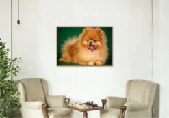 Broderie Diamant <br> Chien Mignon -Atelier Broderie Diamant broderie diamant chien mignon decor atelier broderie diamant