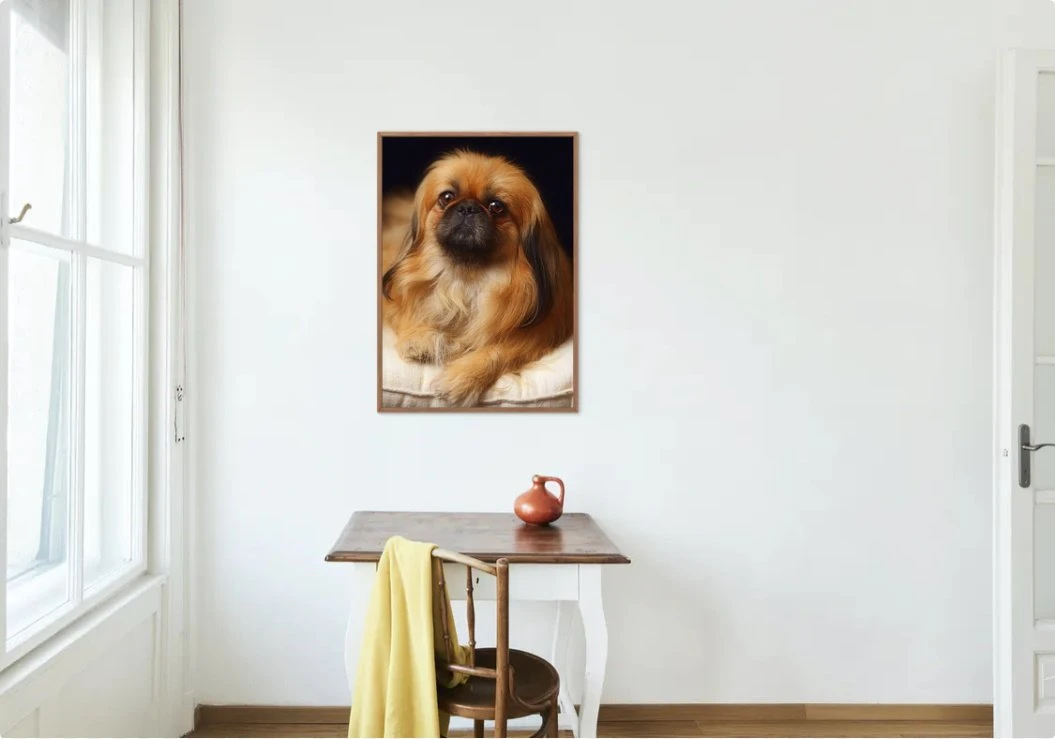 Broderie Diamant <br> Chien Pékinois 5 Broderie Diamant <br> Chien Pékinois – Image 3