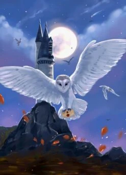 Broderie Diamant <br> Chouette Harry Potter