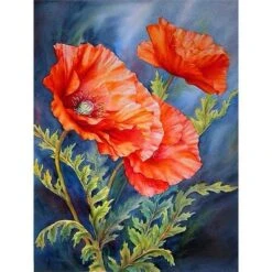 Broderie Diamant <br> Coquelicots Sauvages