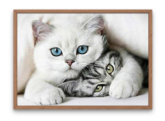 Broderie Diamant <br> Couple De Chats 4 Broderie Diamant <br> Couple De Chats – Image 2