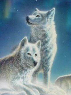 Broderie Diamant <br> Couple De Loups Blancs